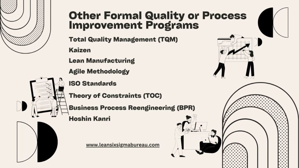 Other Formal Quality or Process Improvement Programs 1 Other Formal Quality or Process Improvement Programs White Black Illustrative Self Improvement Poster