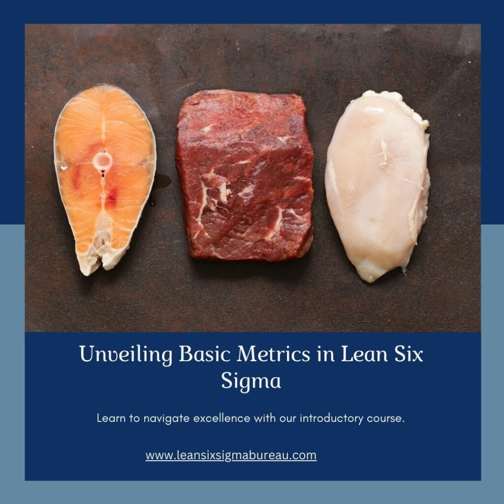 Navigating Excellence: Unveiling Basic Metrics in Lean Six Sigma 1 Navigating Excellence: Unveiling Basic Metrics in Lean Six Sigma Add a little bit of body text