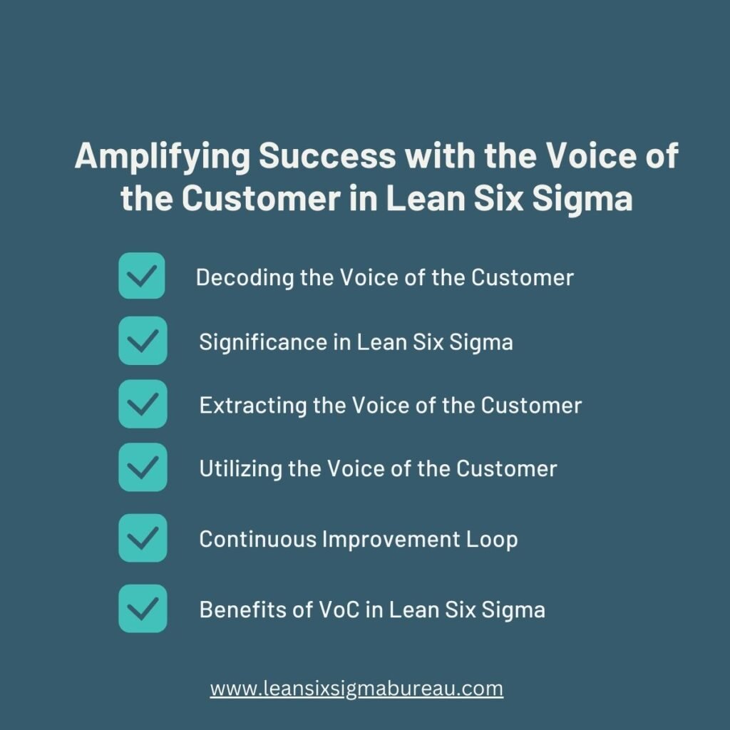Amplifying Success with the Voice of the Customer in Lean Six Sigma 1 Amplifying Success with the Voice of the Customer in Lean Six Sigma Green Professional Social Media Success LinkedIn Post