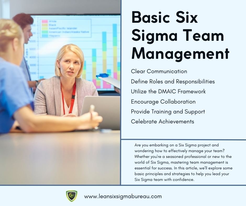 Basic Six Sigma Team Management 1 Basic Six Sigma Team Management Basic Six Sigma Team Management