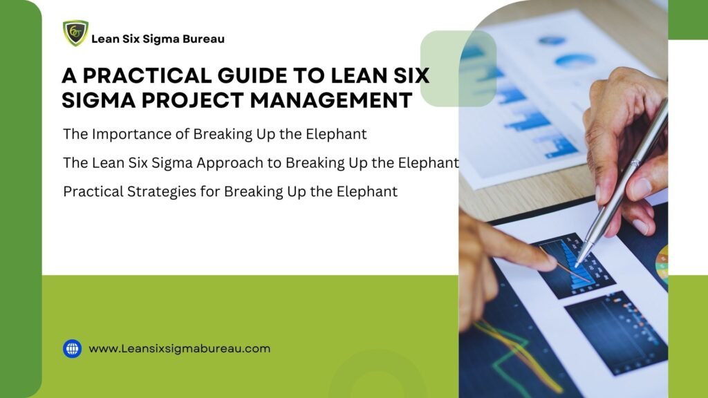 Breaking Up the Elephant: A Practical Guide to Lean Six Sigma Project Management 1 Breaking Up the Elephant: A Practical Guide to Lean Six Sigma Project Management White Blue Simple Modern Business Proposal Pitch Deck Presentation Design