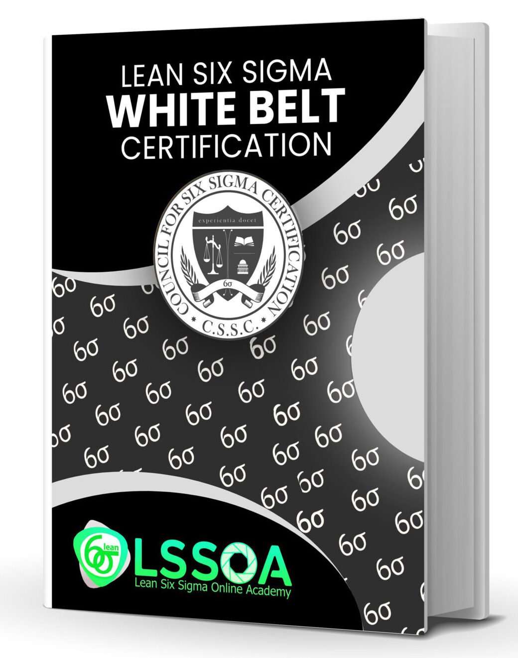 Academy 1 Academy White Belt LSSOA e1759418105744